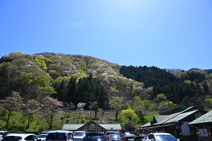 道の駅 果樹公園あしがくぼ 道の駅 果樹公園あしがくぼ