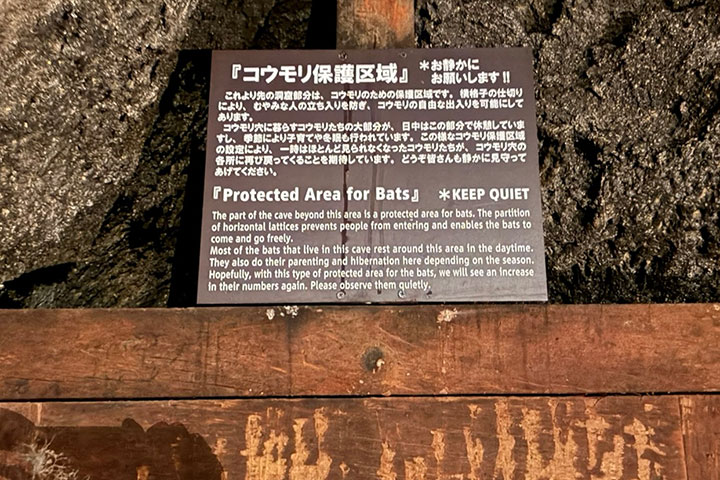 西湖コウモリ穴