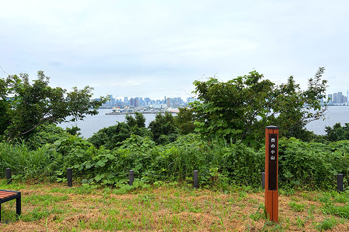 海の森公園 西の小山