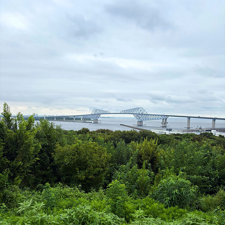 海の森公園 ゲートブリッジ