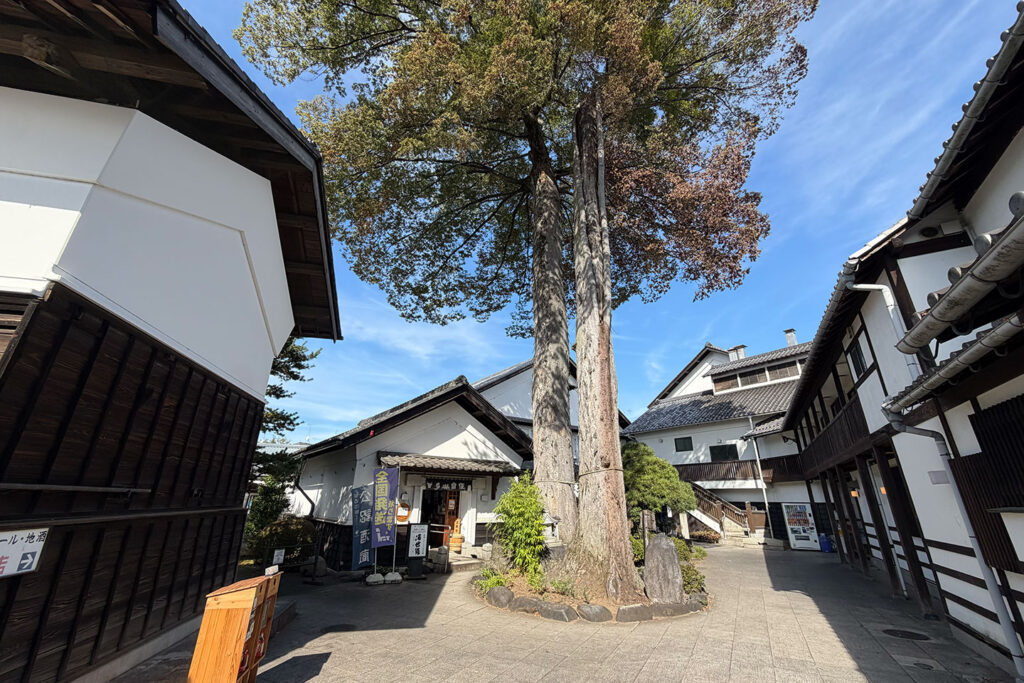 多満自慢　石川酒造株式会社